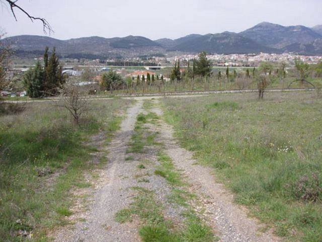 (For Sale) Land Plot || Arkadia/Tripoli - 4.700Sq.m, 60.000€ 