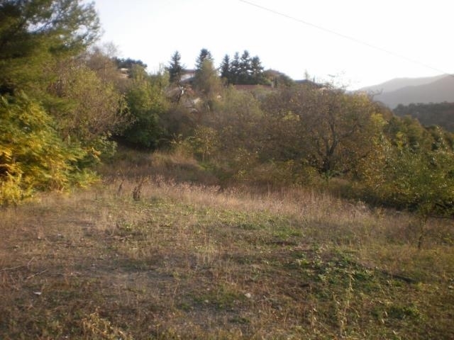 (For Sale) Land Plot || Arkadia/Vytina - 2.010 Sq.m, 300.000€ 