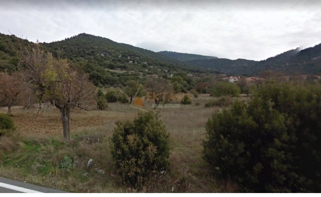 (For Sale) Land Agricultural Land  || Arkadia/Falanthos - 2.900 Sq.m, 32.000€ 