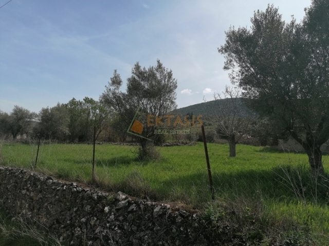 (For Sale) Land Plot || Arkadia/Vytina - 1.300 Sq.m, 32.000€ 