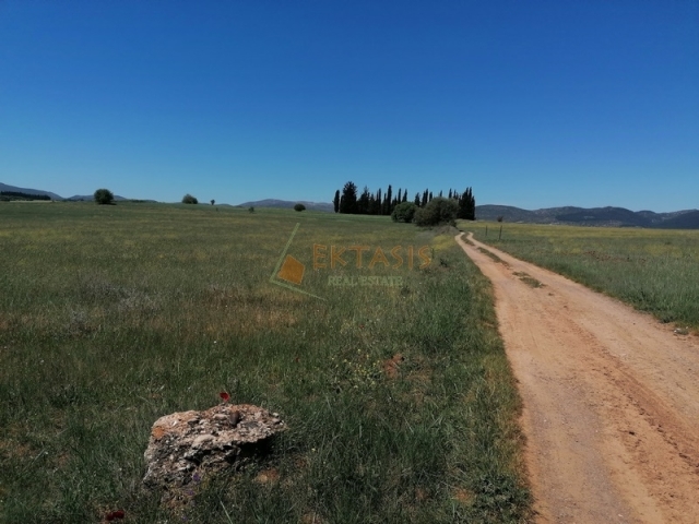 (For Sale) Land Plot || Arkadia/Tripoli - 8.000 Sq.m, 30.000€ 