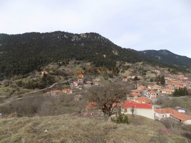 (For Sale) Land Plot || Arkadia/Falanthos - 1.590 Sq.m, 40.000€ 