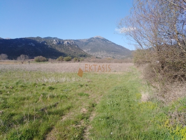 (For Sale) Land Agricultural Land  || Arkadia/Falanthos - 17.000 Sq.m, 43.000€ 