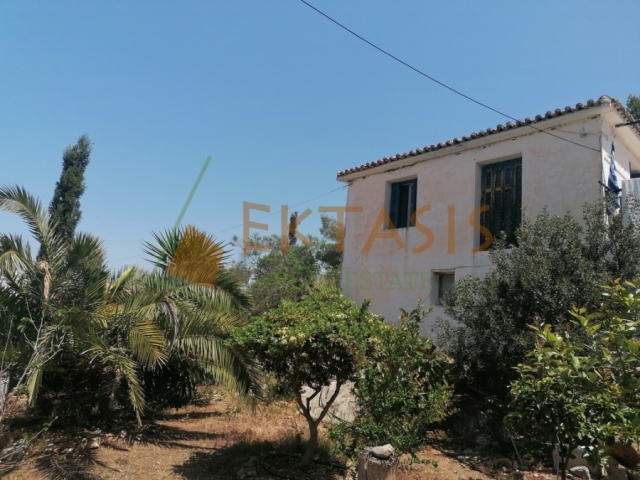 (Προς Πώληση) Κατοικία Μονοκατοικία || Ν. Αρκαδίας/Βόρεια Κυνουρία - 120 τ.μ, 5 Υ/Δ, 650.000€ 