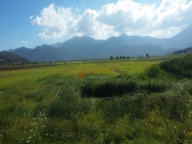 (For Sale) Land Agricultural Land  || Arkadia/Mantineia - 12.600 Sq.m, 40.000€ 