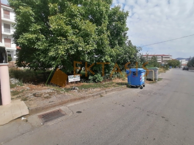 (For Sale) Land Plot || Arkadia/Tripoli - 283 Sq.m, 150.000€ 