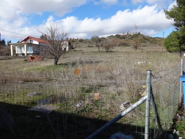 (For Sale) Land Plot || Arkadia/Valtetsi - 650 Sq.m, 10.000€ 