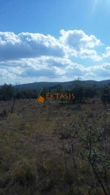 slide1 thumbnail
