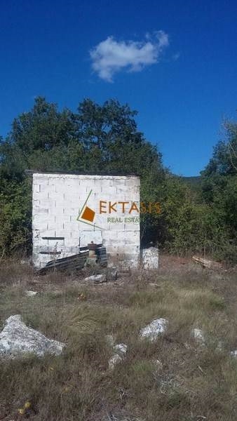 (For Sale) Land Agricultural Land  || Arkadia/Valtetsi - 50.000 Sq.m, 1€ 